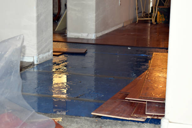 Professional Burst Pipe Water Damage technician working in Kress, TX